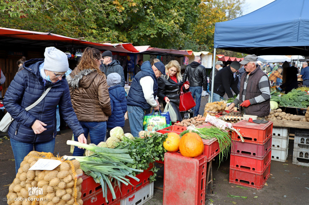 Pchli Targ na Targowisku Miejskim