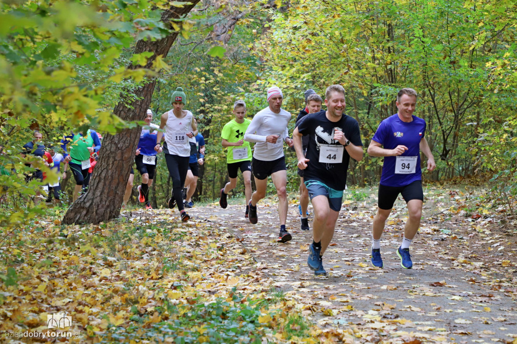 Top Cross Torunia