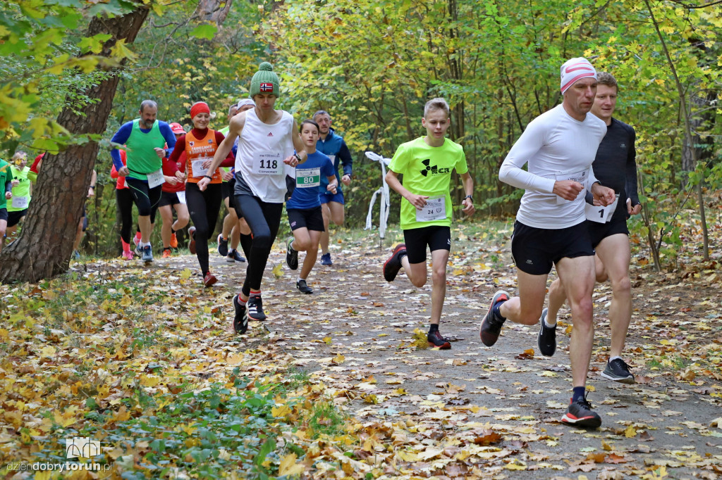 Top Cross Torunia