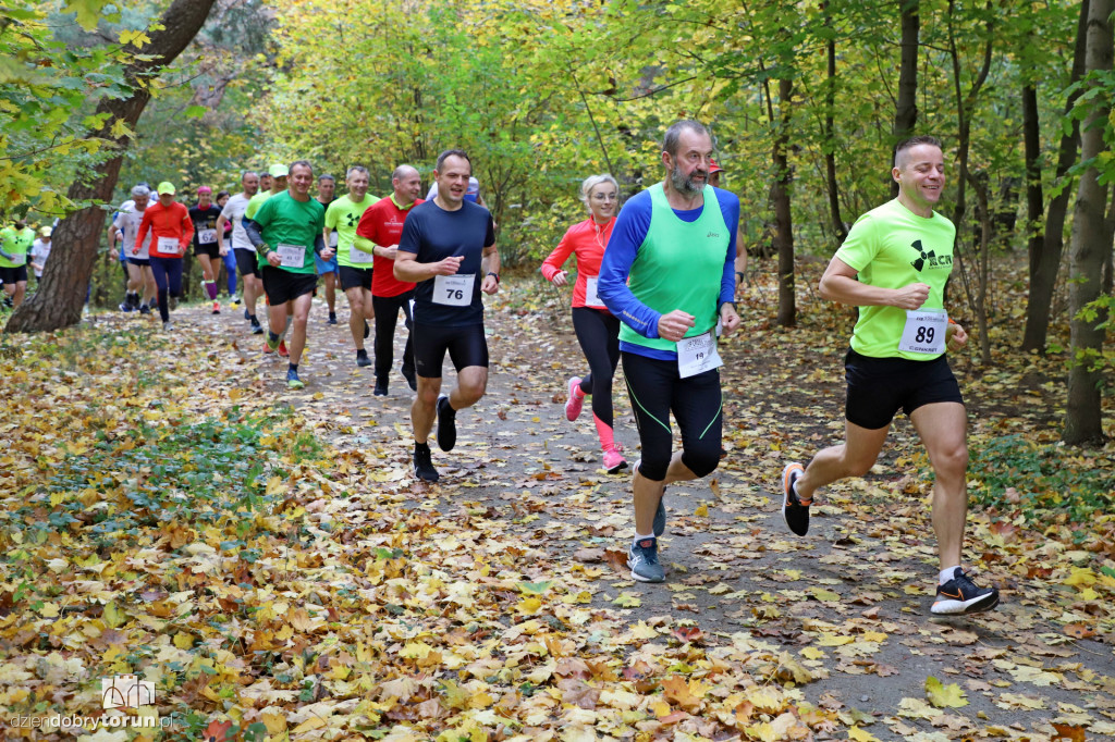 Top Cross Torunia