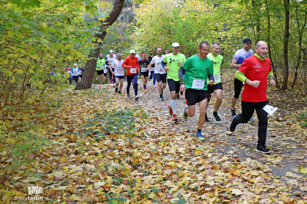 Top Cross Torunia