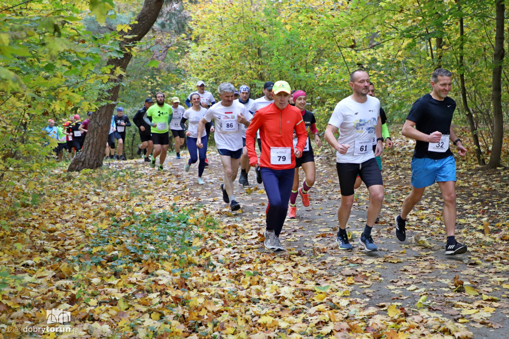 Top Cross Torunia