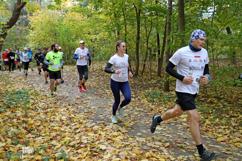 Top Cross Torunia