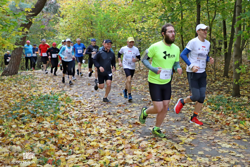 Top Cross Torunia