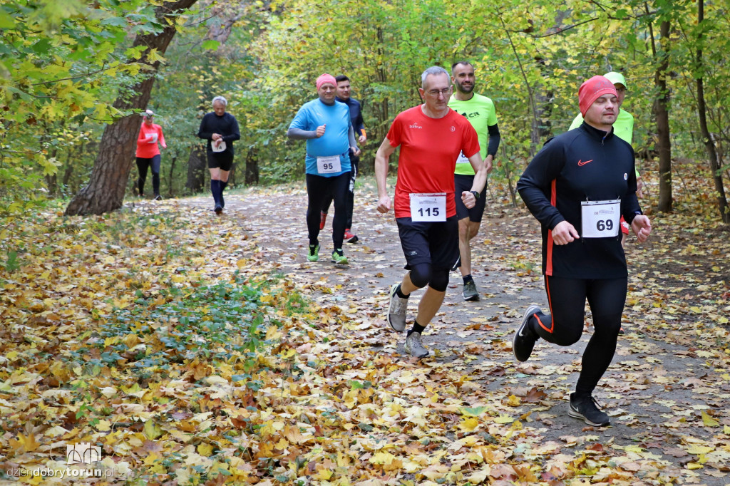 Top Cross Torunia