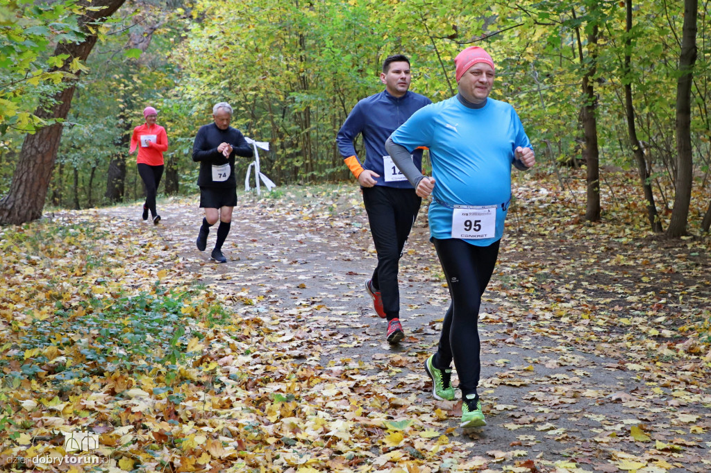 Top Cross Torunia
