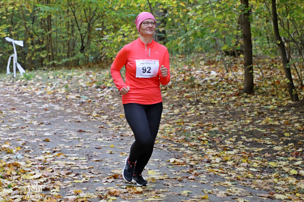 Top Cross Torunia