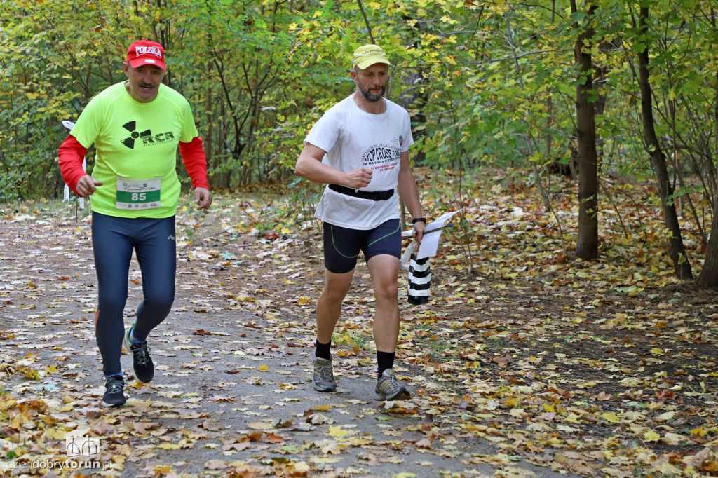 Top Cross Torunia