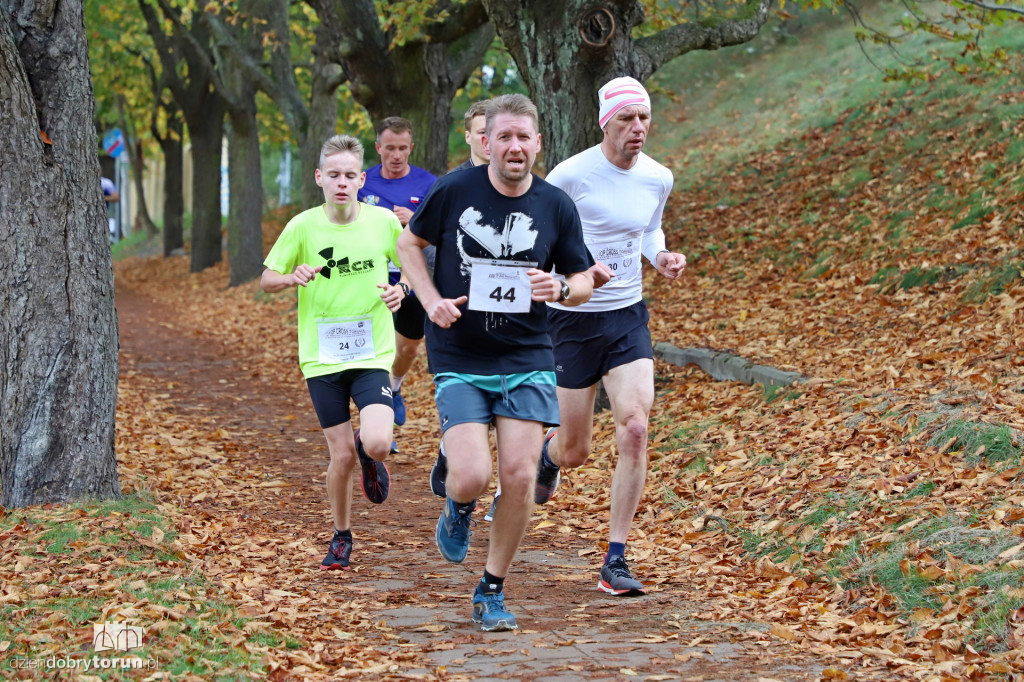Top Cross Torunia