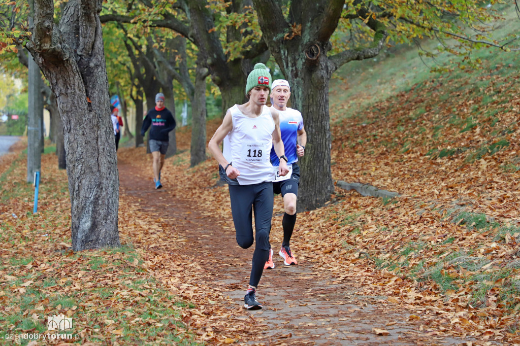 Top Cross Torunia