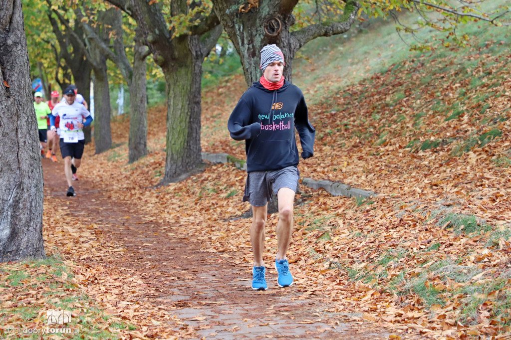 Top Cross Torunia