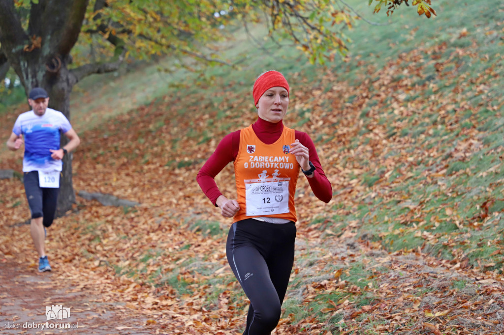 Top Cross Torunia