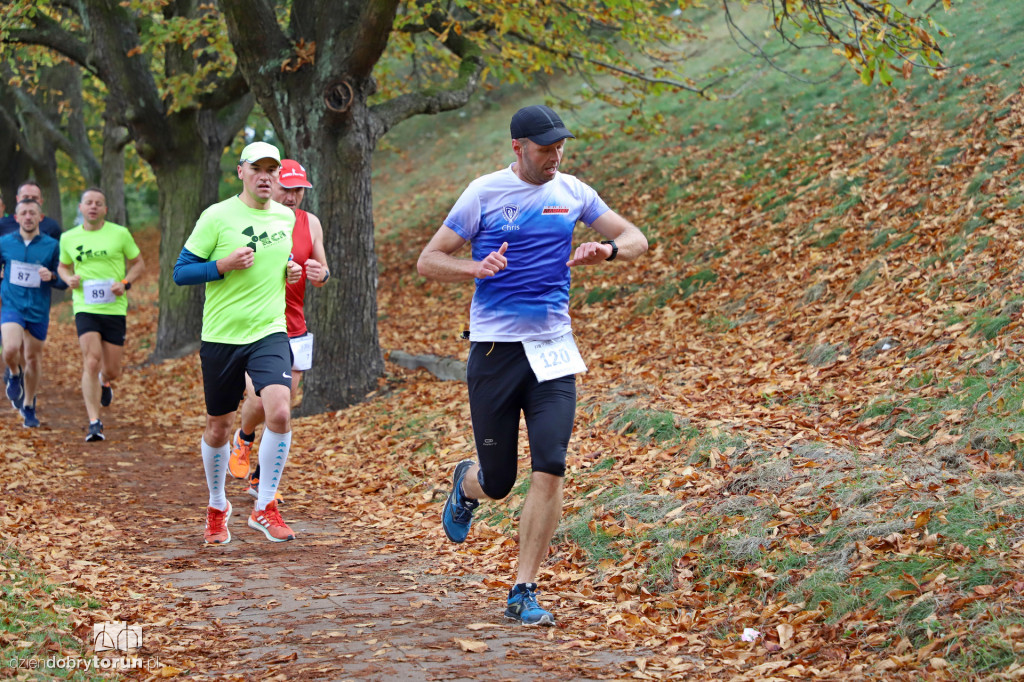 Top Cross Torunia