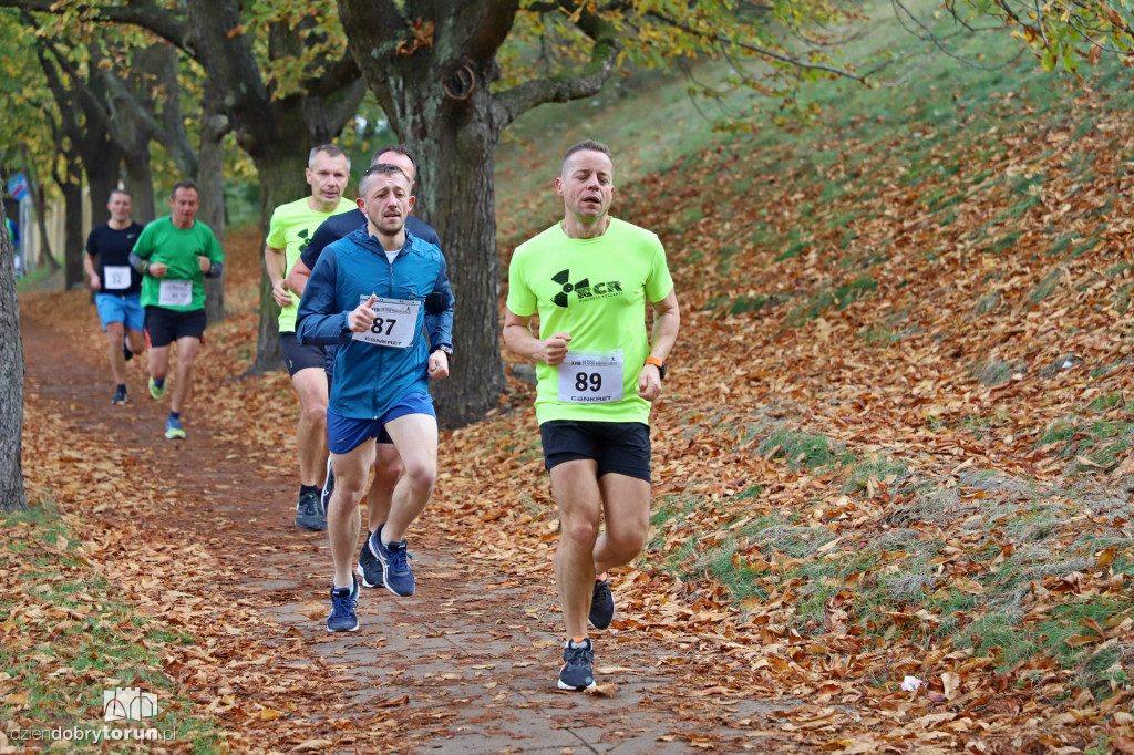 Top Cross Torunia