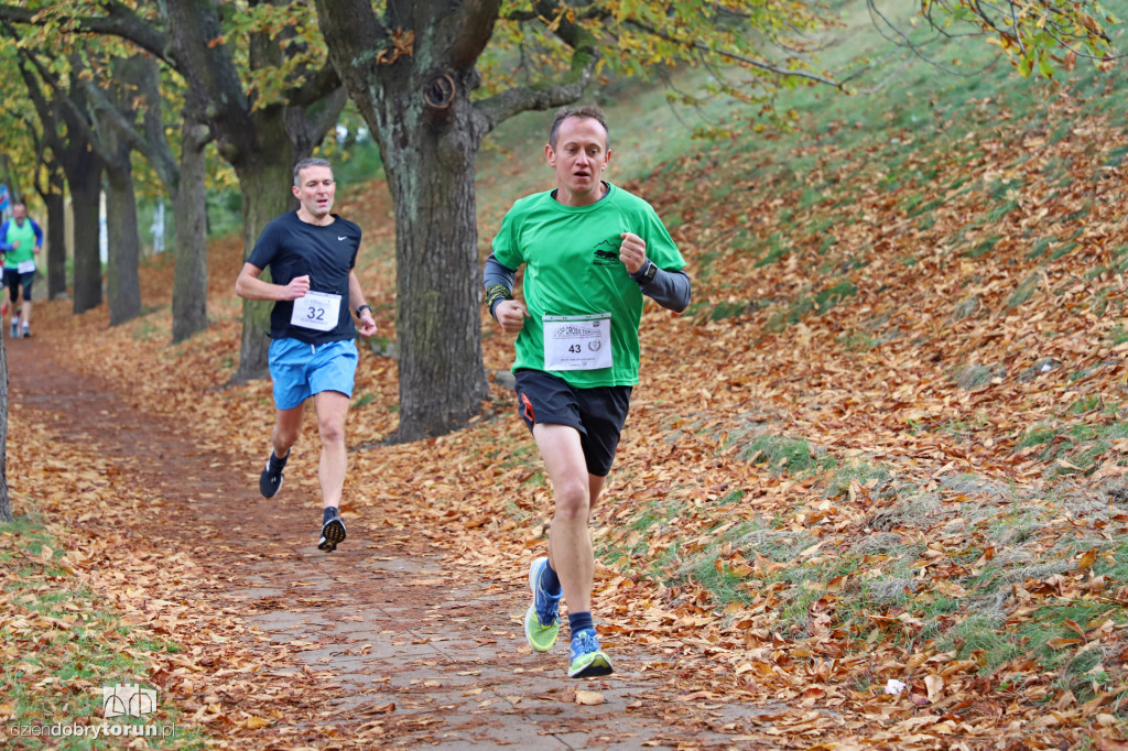 Top Cross Torunia