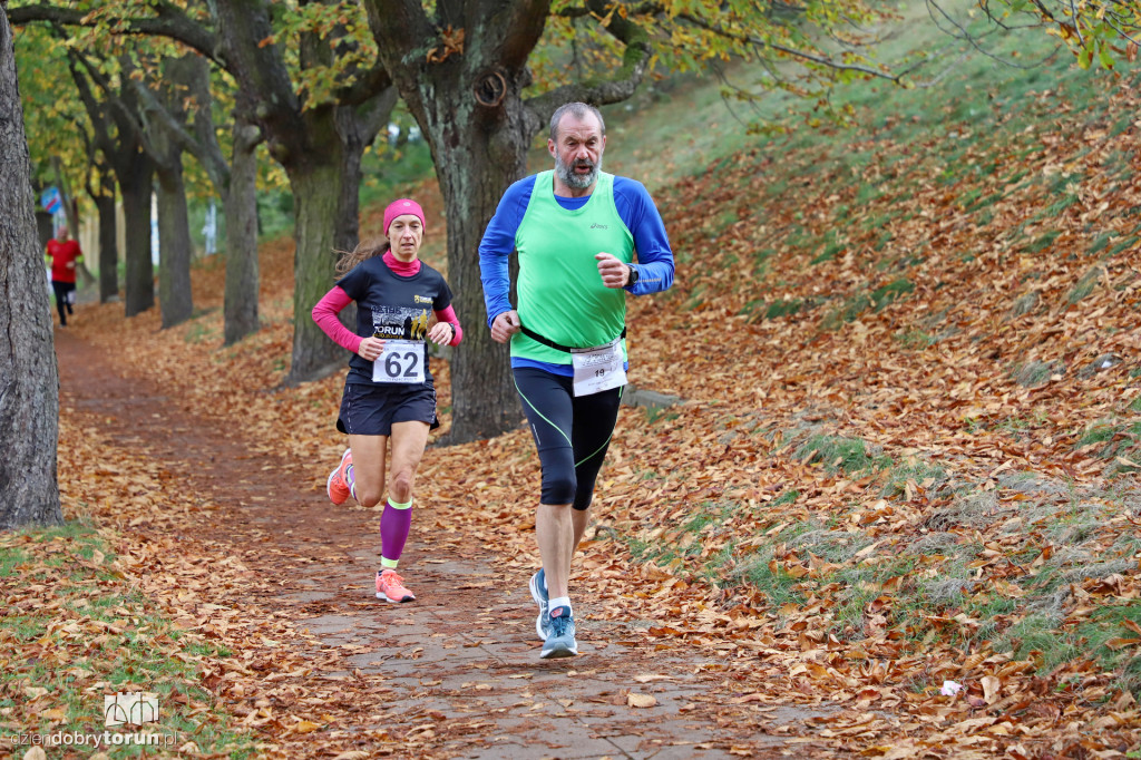 Top Cross Torunia