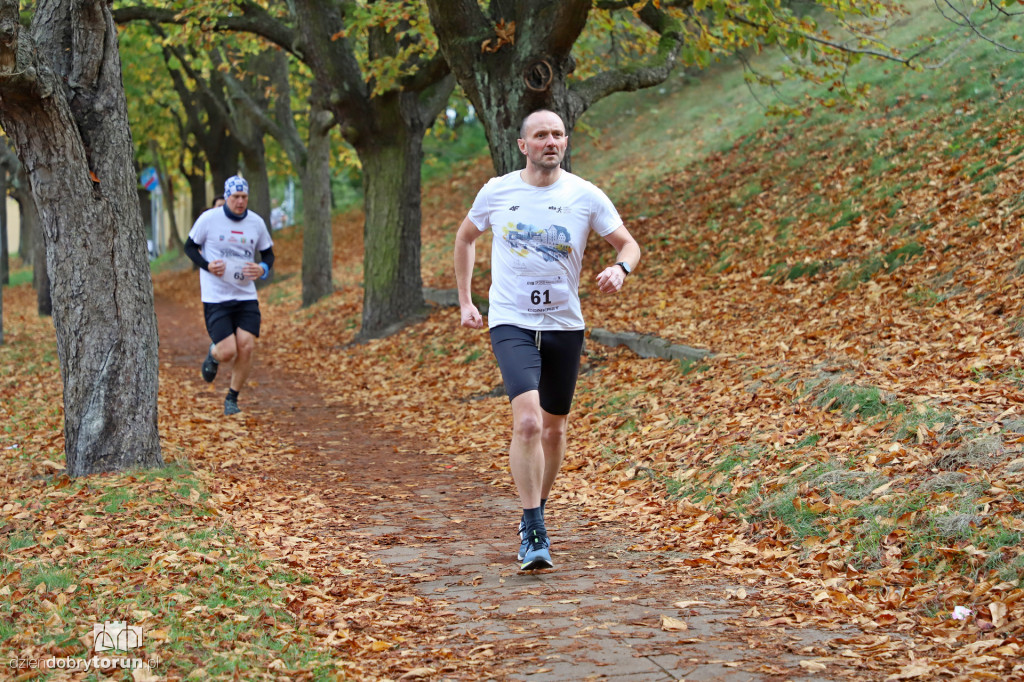 Top Cross Torunia