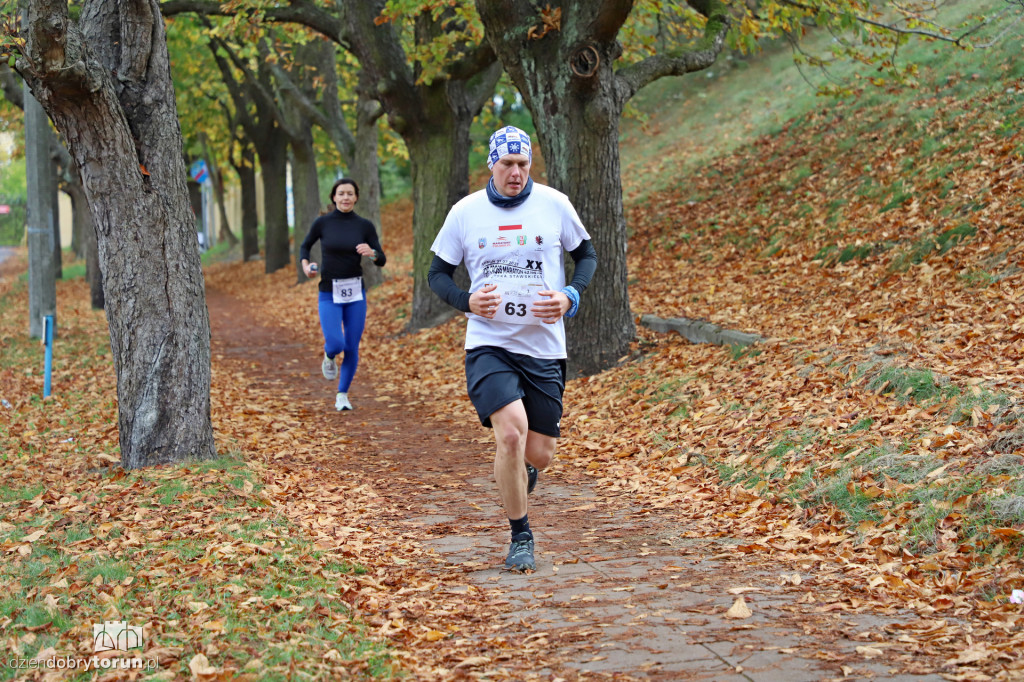 Top Cross Torunia