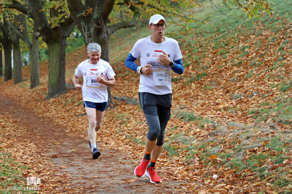 Top Cross Torunia