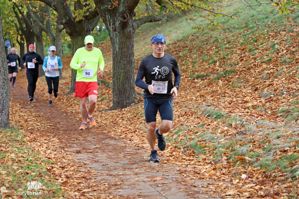 Top Cross Torunia
