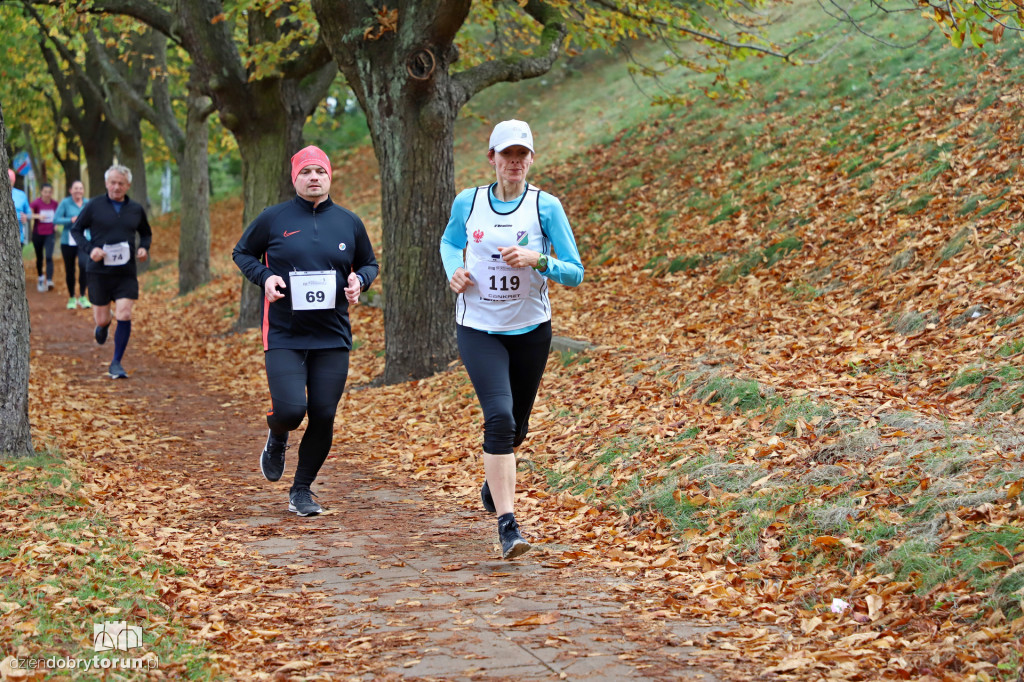 Top Cross Torunia