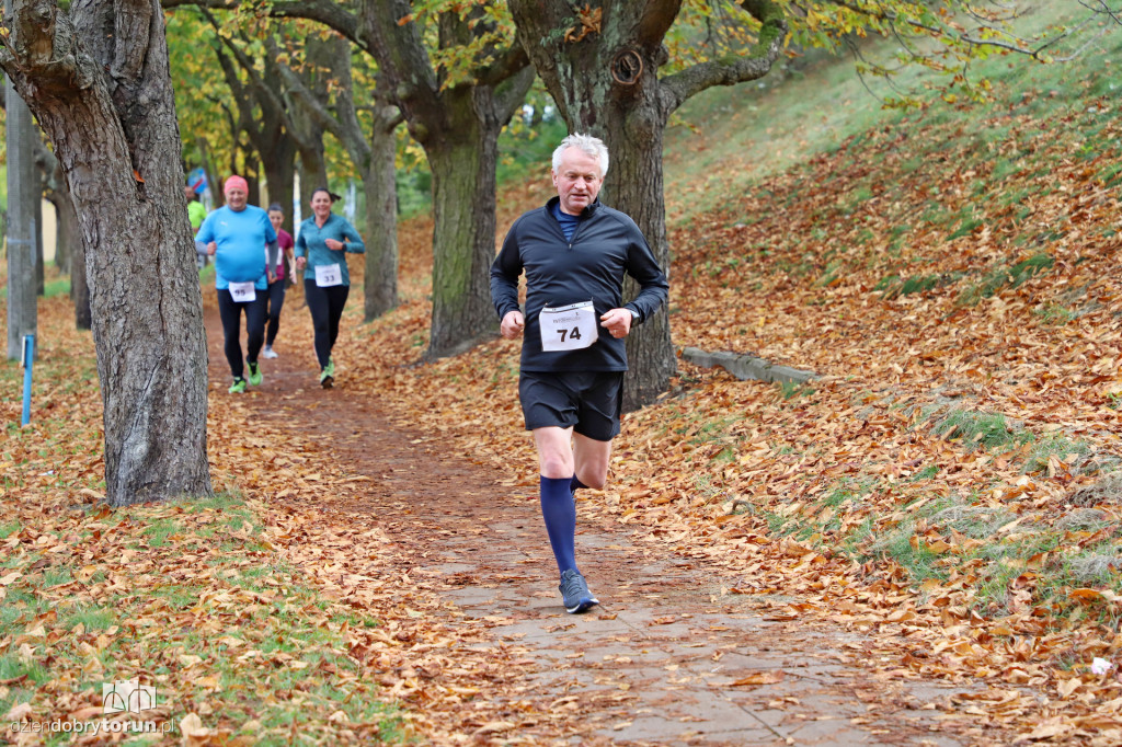 Top Cross Torunia