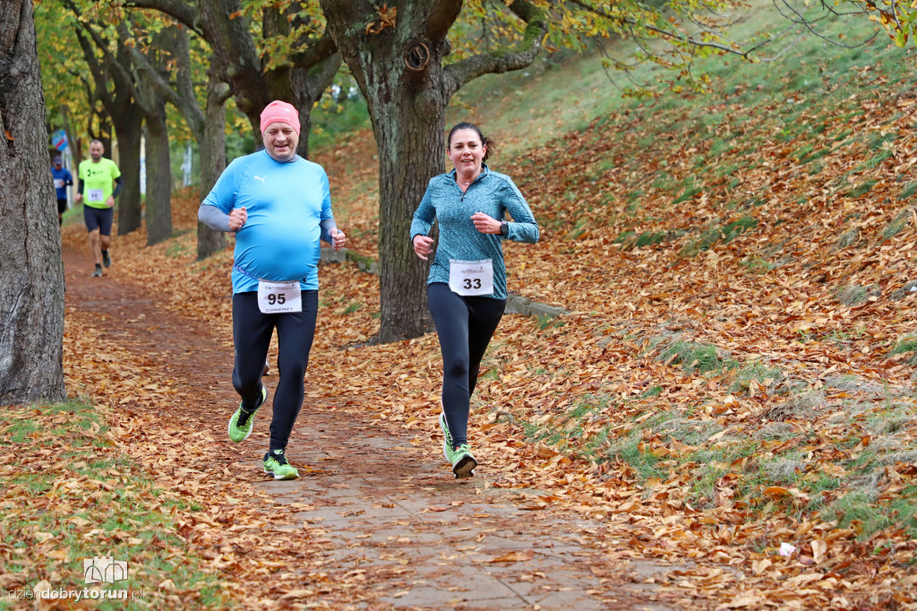 Top Cross Torunia