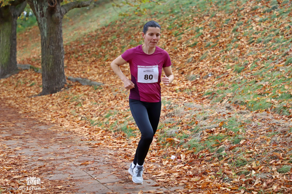 Top Cross Torunia