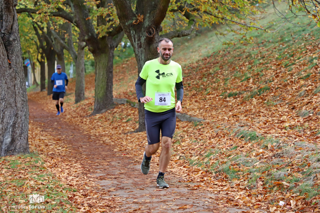 Top Cross Torunia