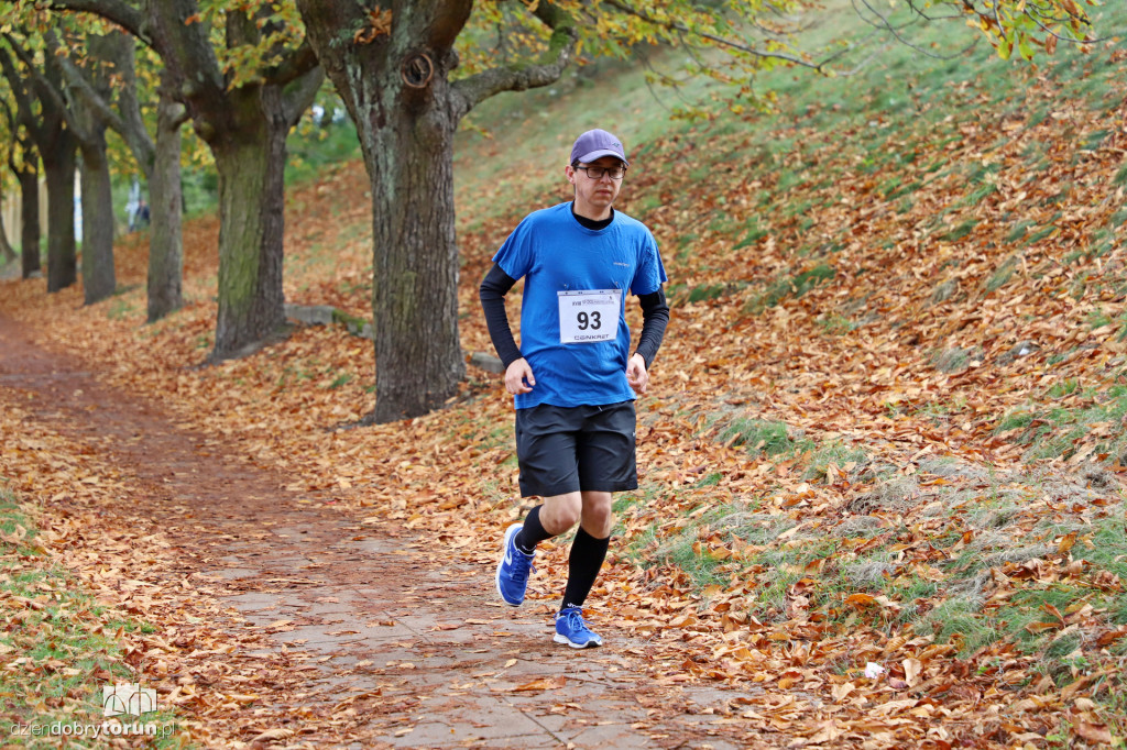 Top Cross Torunia
