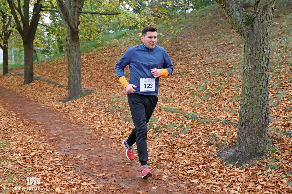 Top Cross Torunia