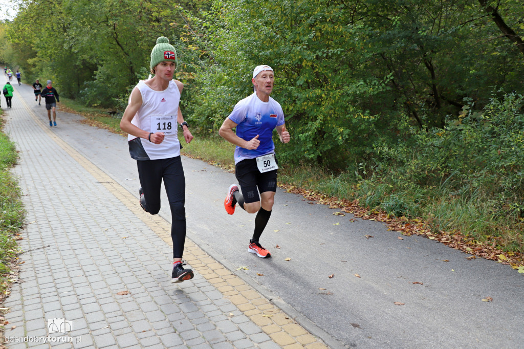 Top Cross Torunia