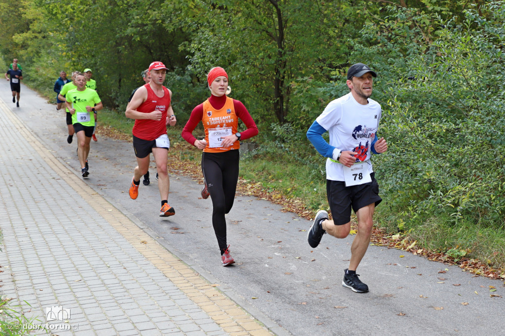 Top Cross Torunia