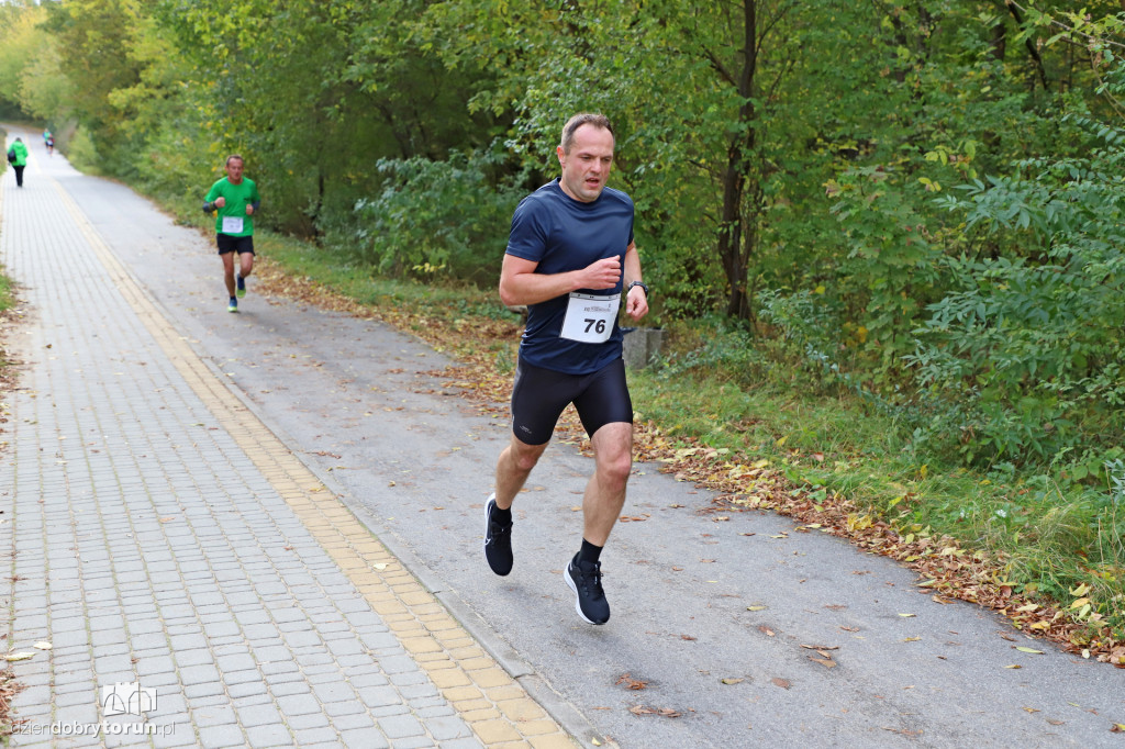 Top Cross Torunia