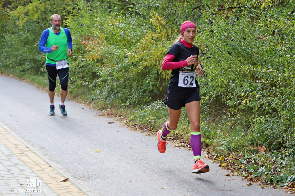 Top Cross Torunia