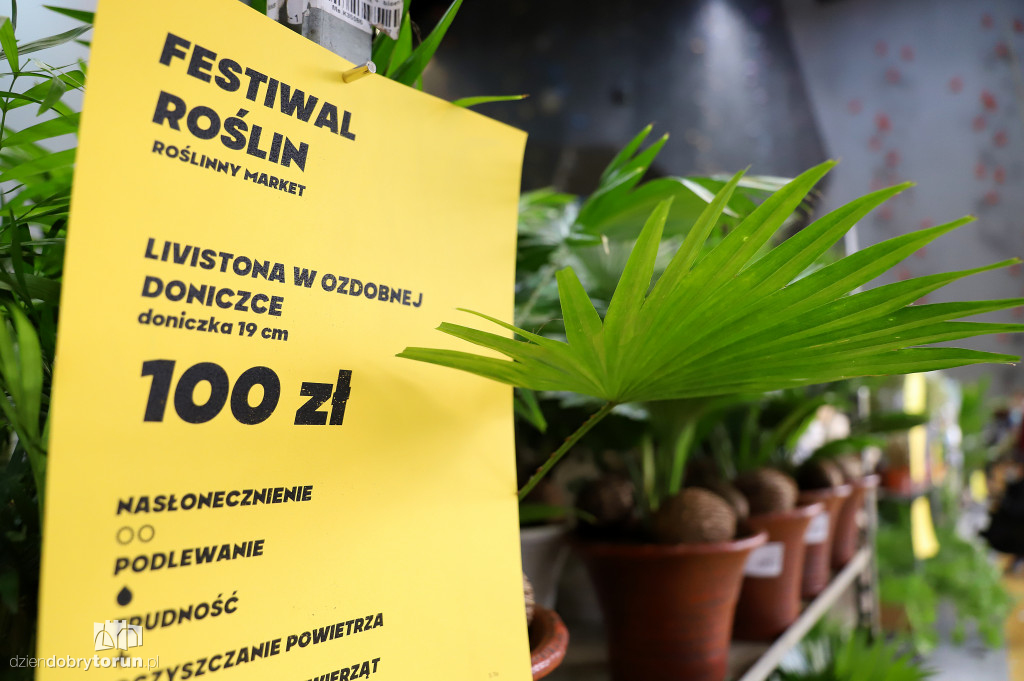 Festiwal roślin w Arenie Toruń