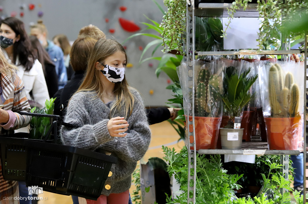 Festiwal roślin w Arenie Toruń