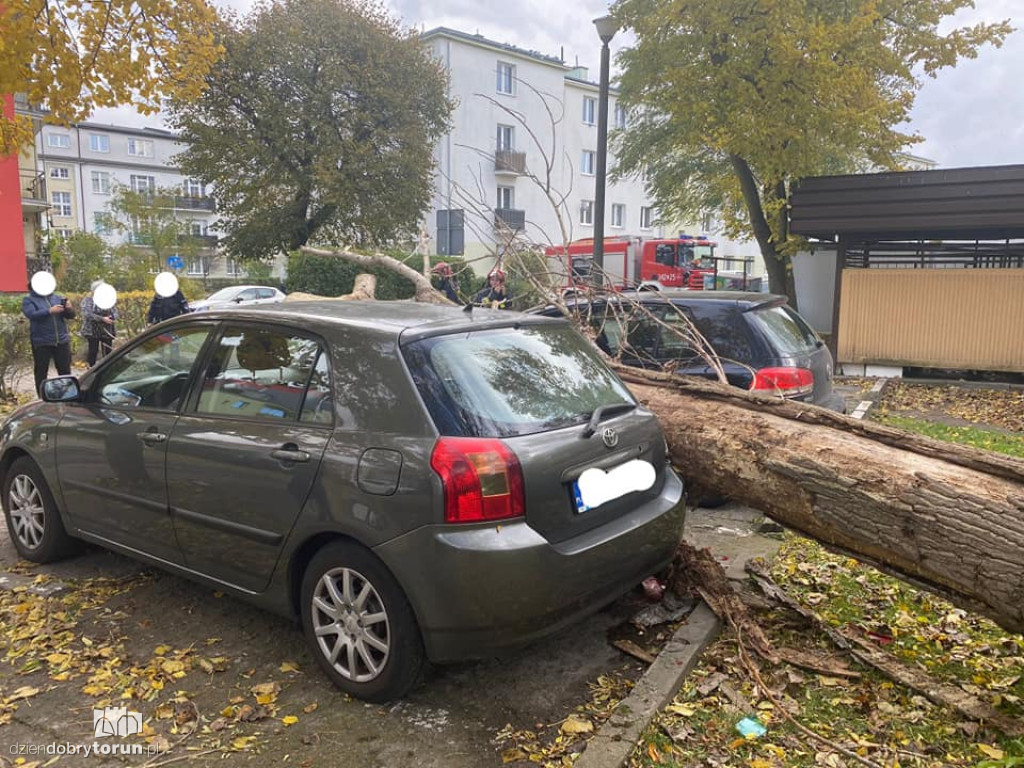 Toruń: wichura dała się we znaki