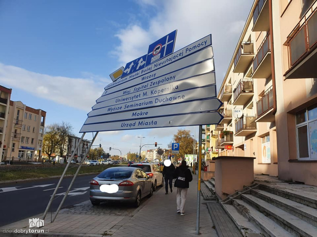 Toruń: wichura dała się we znaki