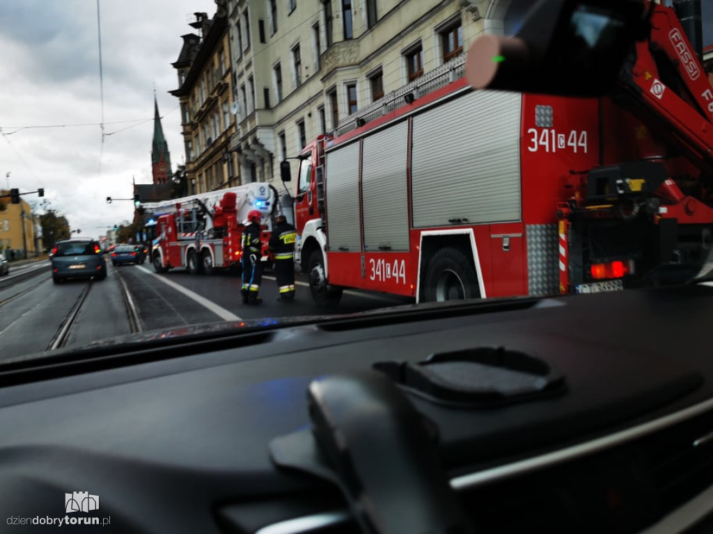 Toruń: wichura dała się we znaki