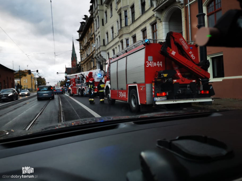 Toruń: wichura dała się we znaki
