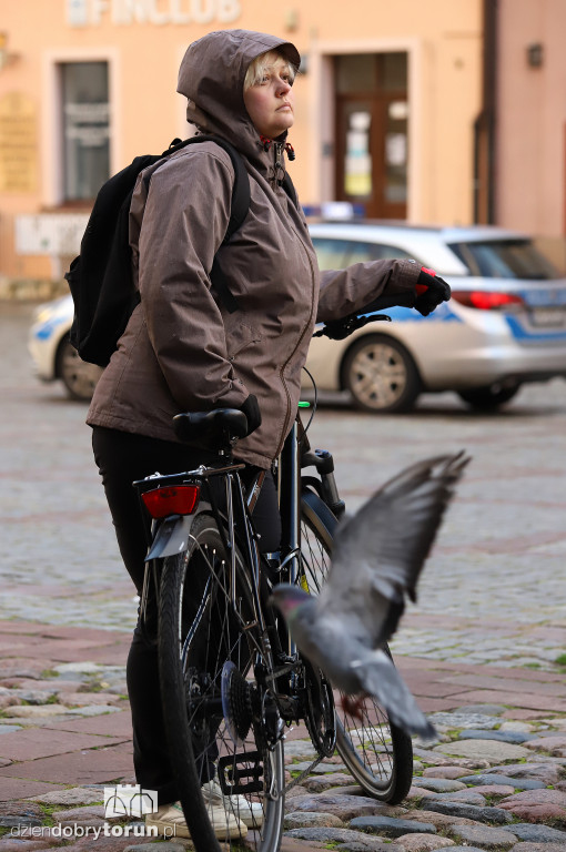 Setna Rowerowa Masa Krytyczna