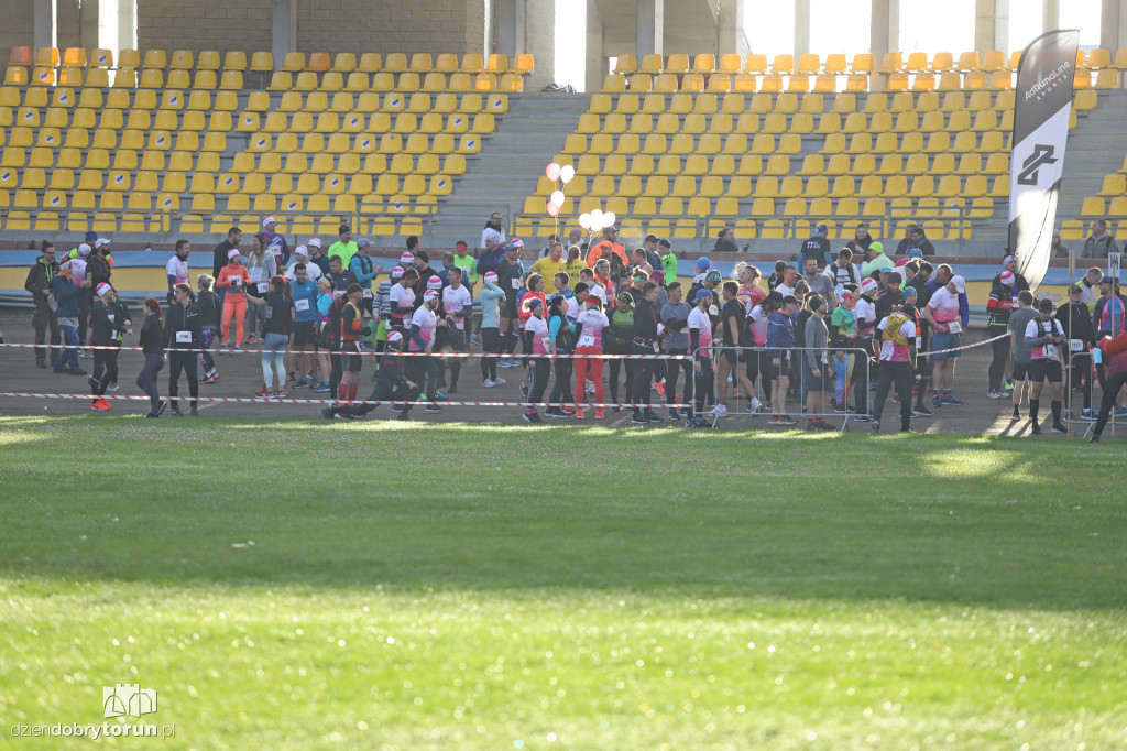 Toruń Maraton