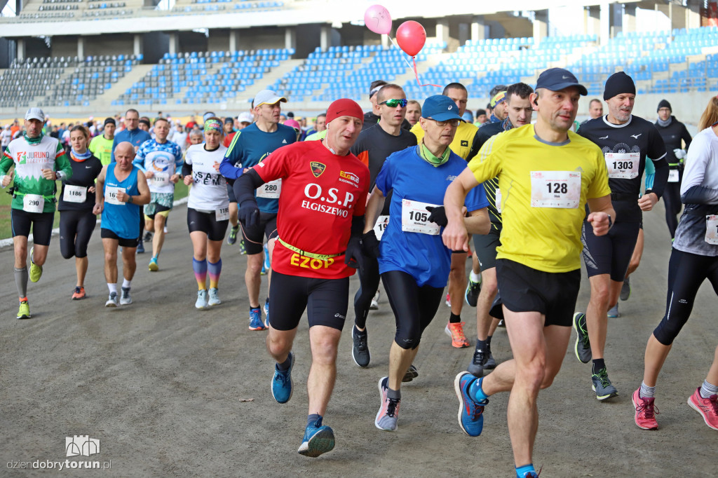 Toruń Maraton