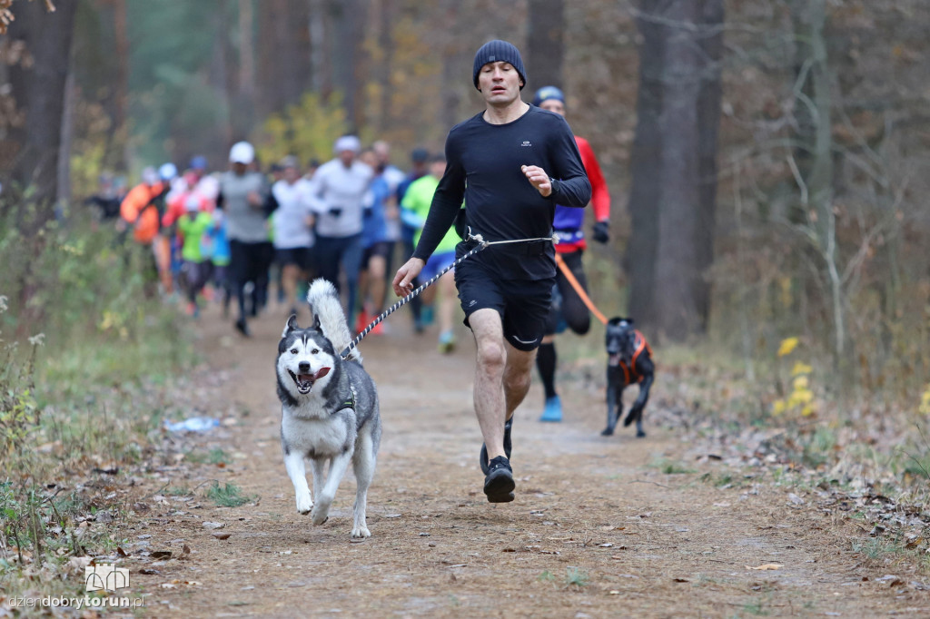parkrun Toruń #267