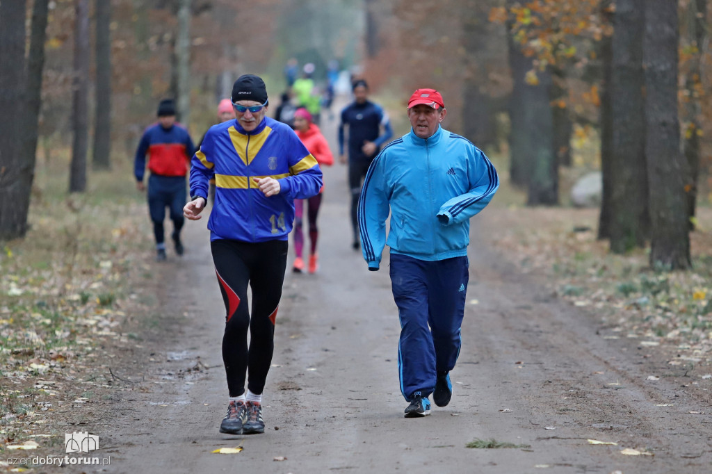 parkrun Toruń #267