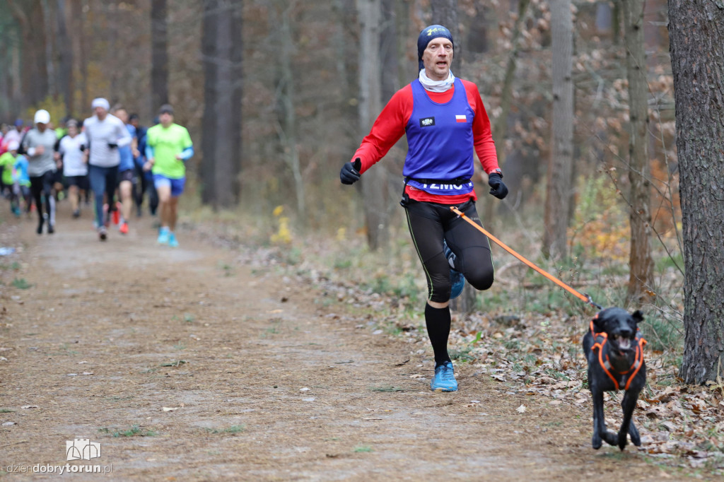 parkrun Toruń #267