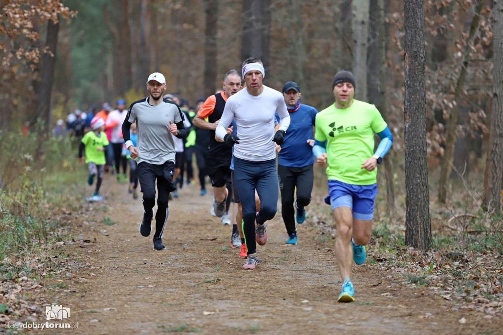 parkrun Toruń #267