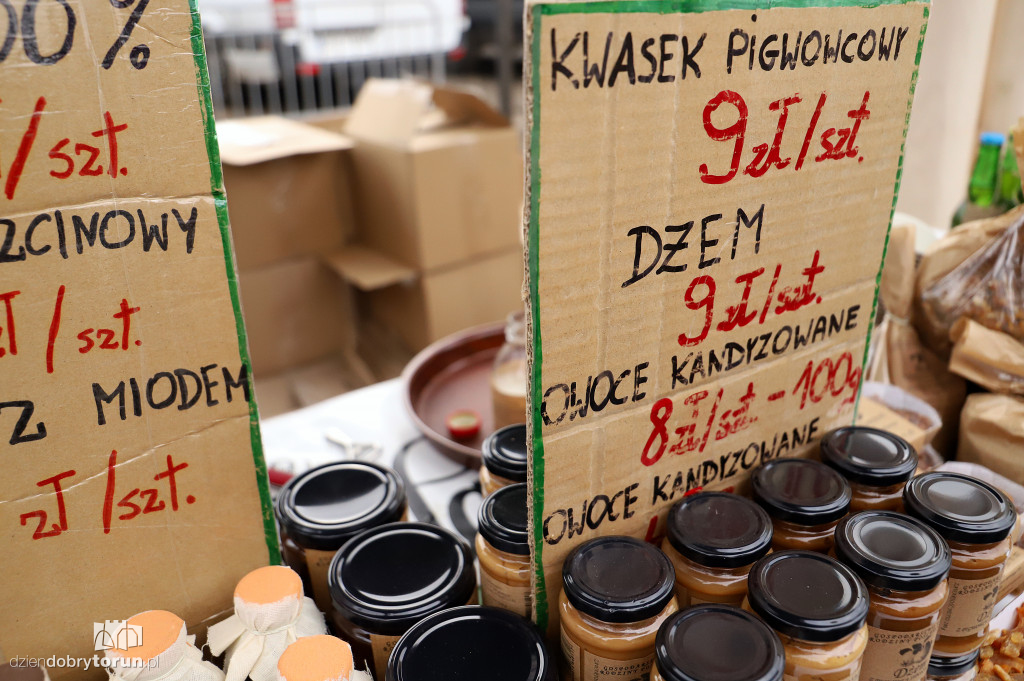 Kujawsko Pomorski Festiwal Gęsiny
