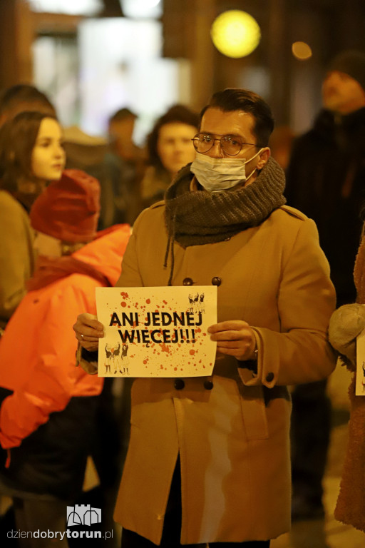 Protest 